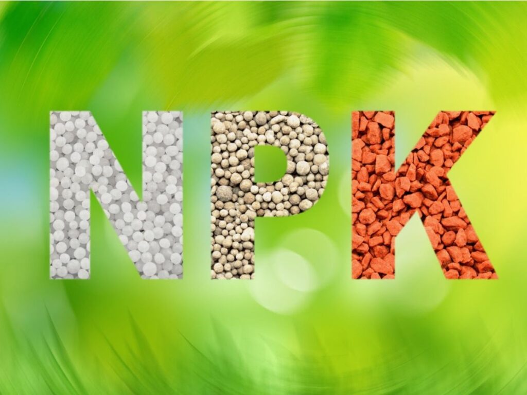 NPK Fertilizer क्या होता है, NPK उर्वरक - खाद की पूरी जानकारी