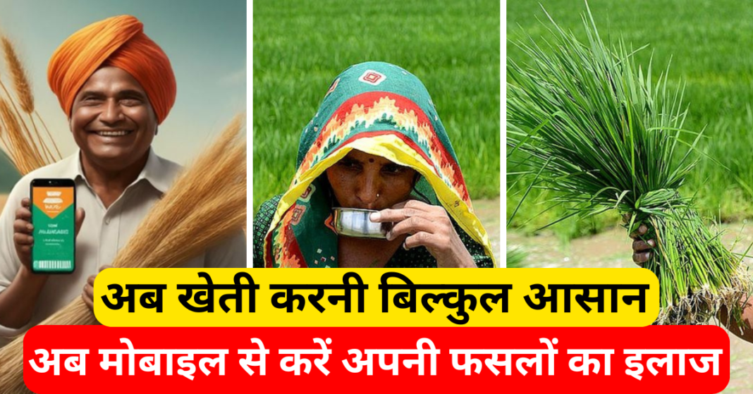 अब खेती करनी बिल्कुल आसान, अब मोबाइल से करें अपनी फसलों का इलाज | फसलों का डॉक्टर