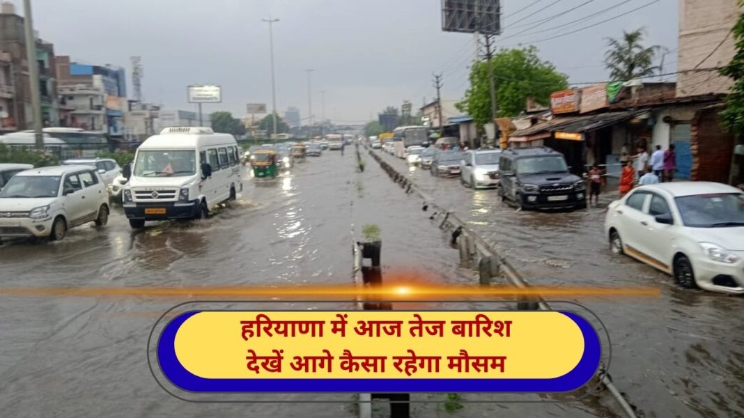 Haryana Monsoon Rain Alert Weather Change Update