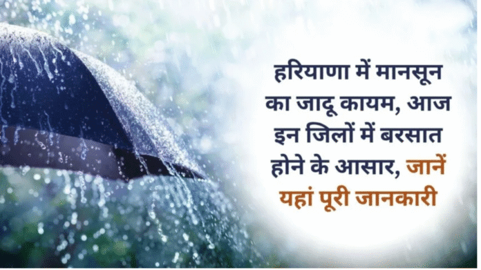 Haryana weather update Heavy rain in 3 districts of Haryana today, light rain likely in 11 districts, see weather update for next three days