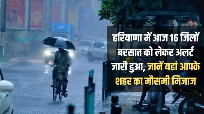 Alert has been issued for rain in 16 districts of Haryana today, know the weather condition of your city here