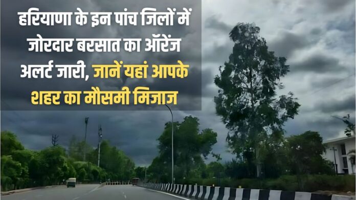 Orange alert for heavy rains issued in these five districts of Haryana, know the weather condition of your city here