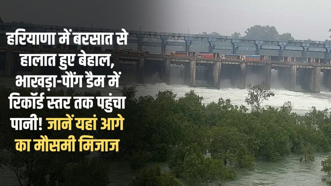 Situation worsened due to rain in Haryana, water level reached record level in Bhakra-Pong Dam! Know the weather forecast here Situation worsened due to rain in Haryana, water level reached record level in Bhakra-Pong Dam! Know the weather forecast here