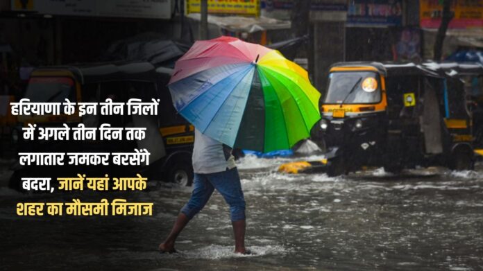 It will rain heavily in these three districts of Haryana for the next three days, know the weather condition of your city here