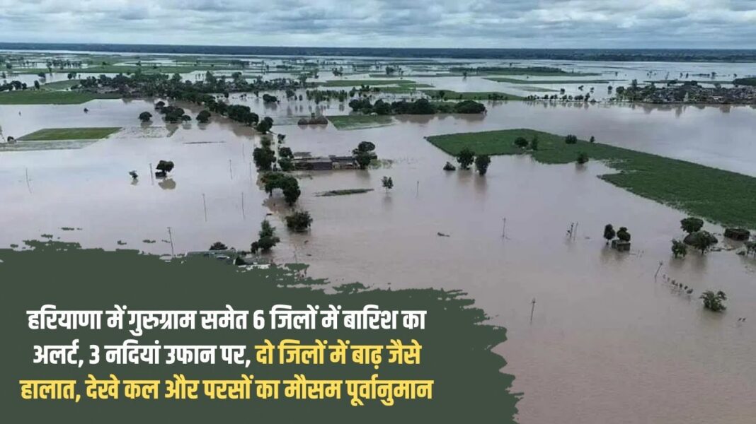 Rain alert in 6 districts including Gurugram in Haryana, 3 rivers in spate, flood like situation in two districts, see weather forecast for tomorrow and day after tomorrow