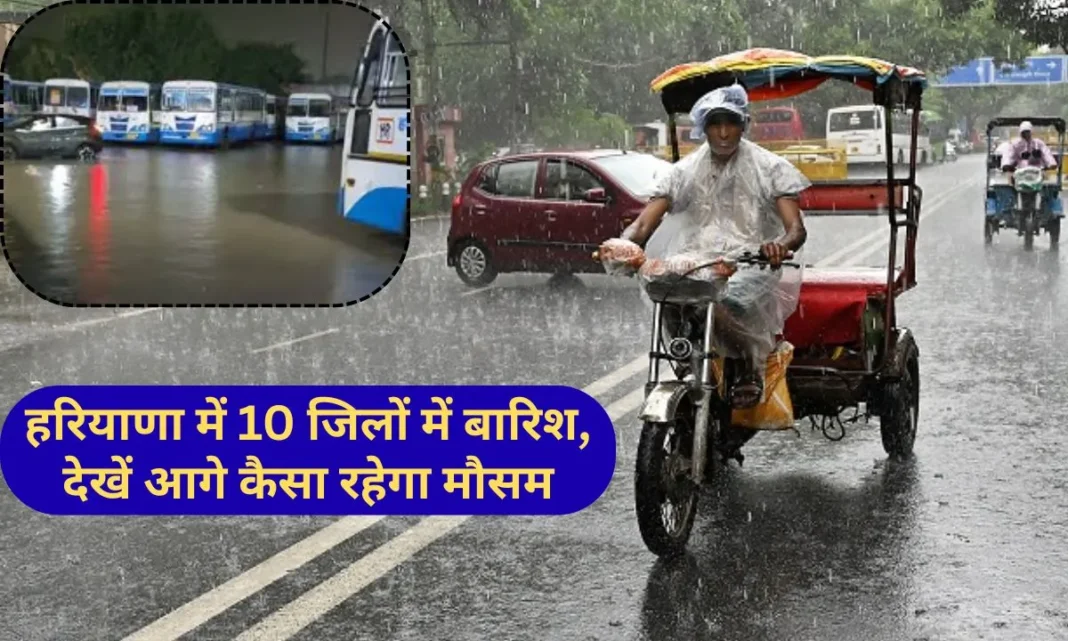 23 January 2026 Weather Today Haryana Rain Haryana Weather Update 23 January 2026 Weather Today Haryana Rain Haryana Weather Update