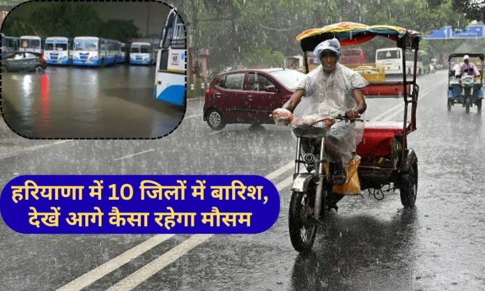 23 January 2026 Weather Today Haryana Rain Haryana Weather Update