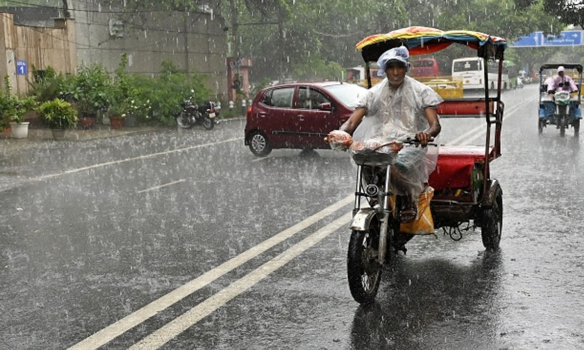 23 January 2026 Weather Today Haryana Rain Haryana Weather Update