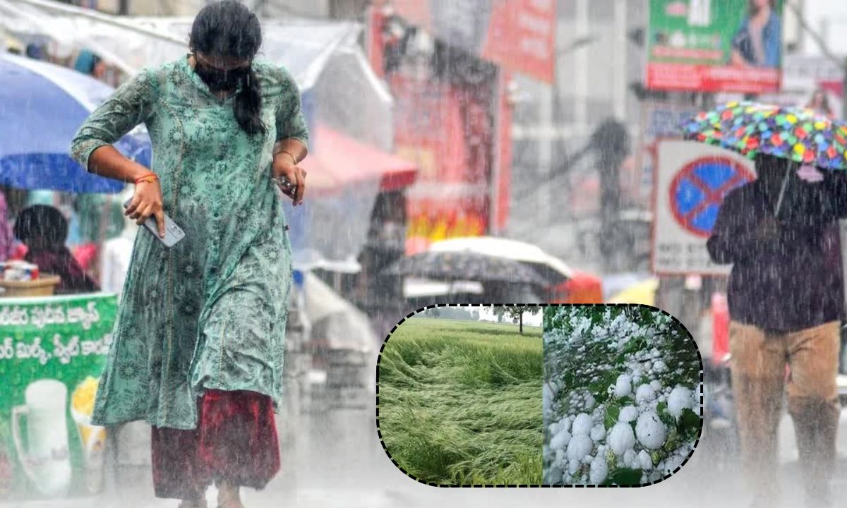 27 January 2026 weather update Haryana, Haryana weather aaj ka mausam kal ka mausam 