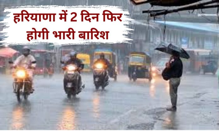 29 January 2026 Weather Update Clear weather today, heavy rain alert again on 31 January and 1 February