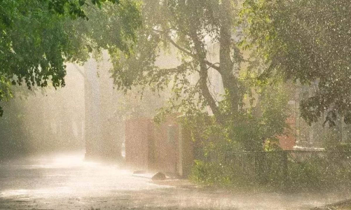Haryana Rain Alert 3 days rain alert in Haryana, western disturbance will be active, see weather forecast