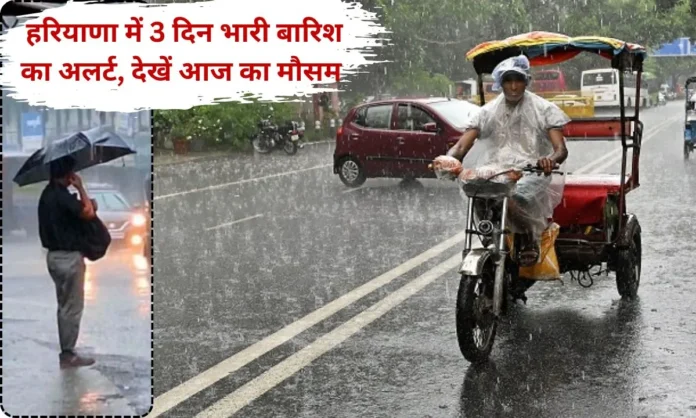 Haryana Weather Normal for two days, rain again on January 26, 27, 28; see today's weather.