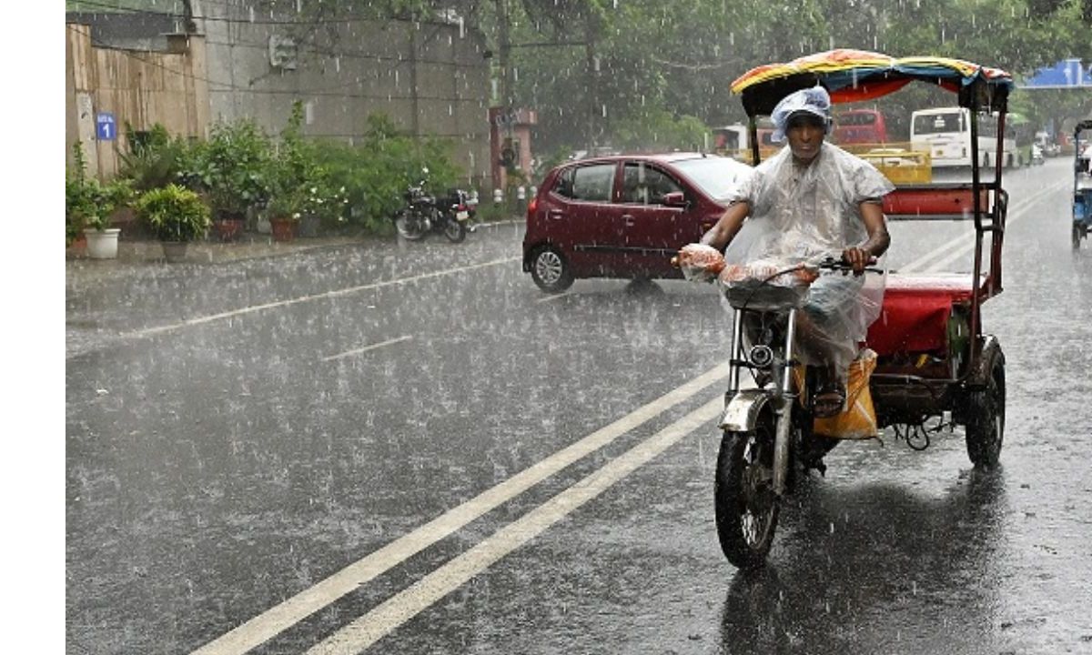 Haryana Weather Normal for two days, rain again on January 26, 27, 28; see today's weather.