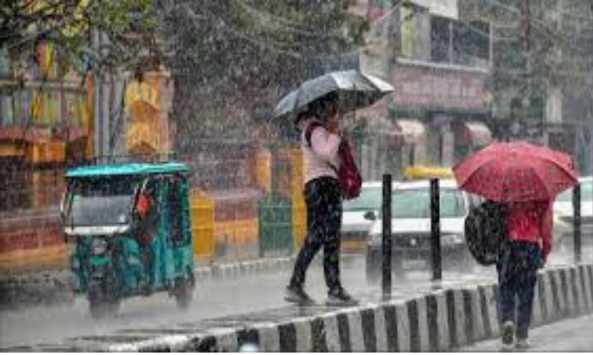 Haryana Weather Today January 28, 2026 Weather Update Rain in 4 districts