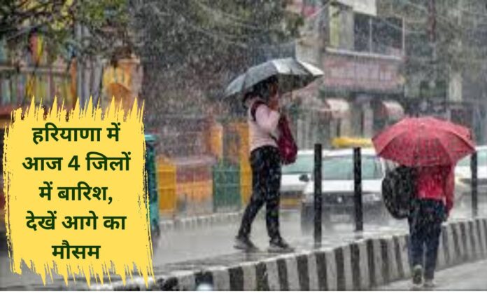 Haryana Weather Today January 28, 2026 Weather Update Rain in 4 districts