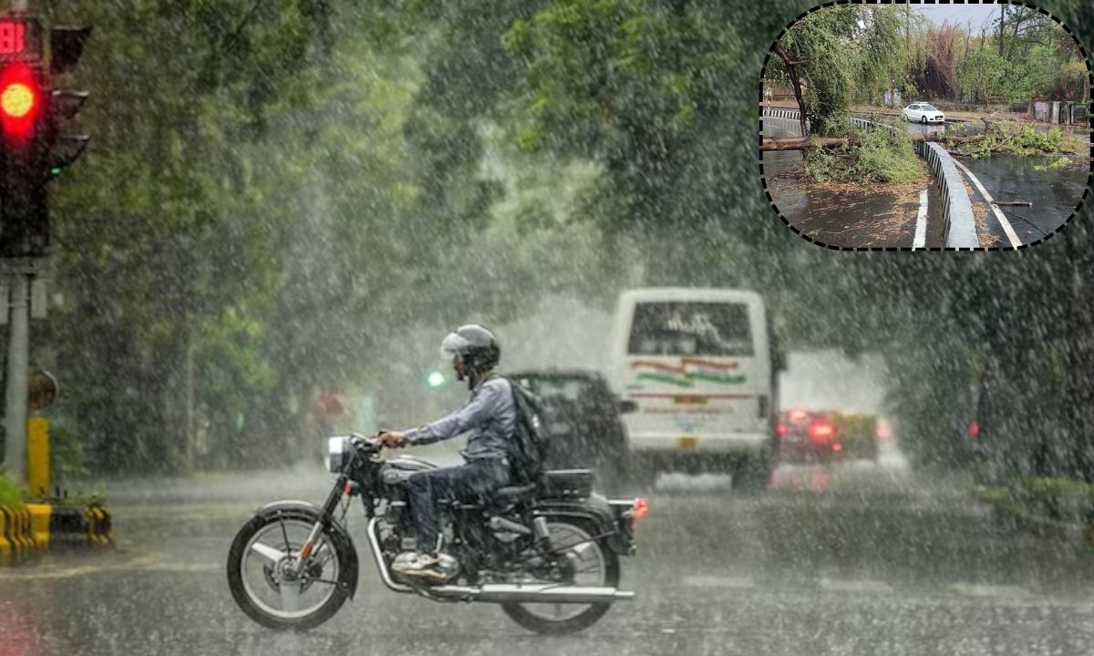 Haryana rain alert, Heavy rain in 15 districts, moderate rain in 4, weather to change from tonight haryana, 1 February weather update.