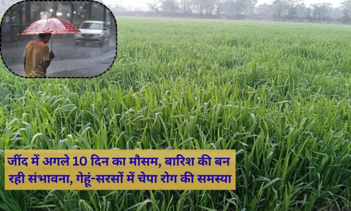 Jind Mausam ka Hal Weather for the next 10 days in Jind, possibility of rain aphids in wheat and mustard.