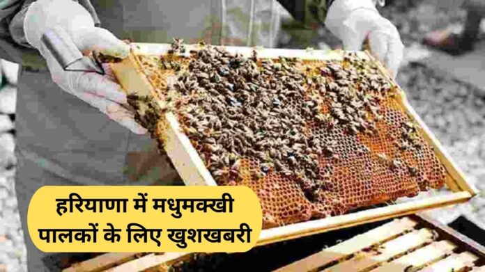 Good news for beekeepers in Haryana, they will get the benefit of Bhavantar Bharpayee Yojana.