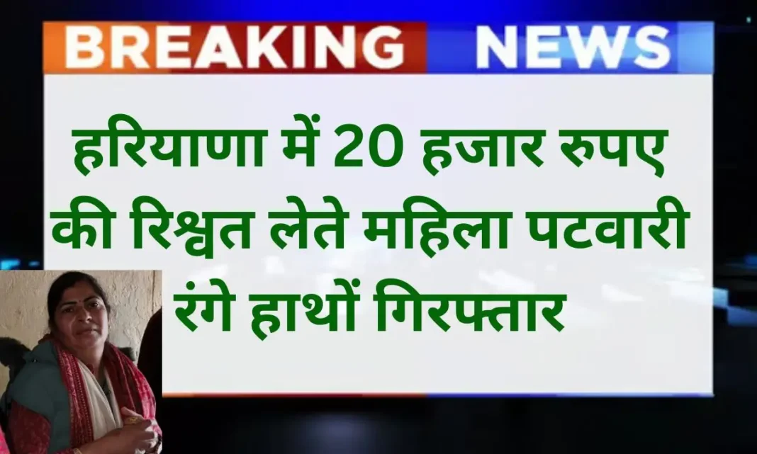 Haryana Sonipat ACB raid Female Patwari caught red-handed accepting bribe.