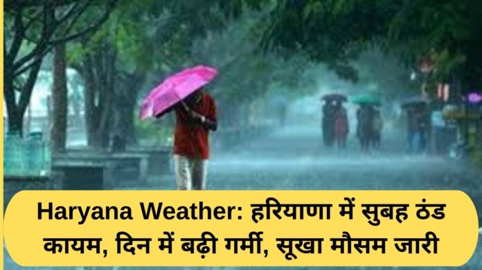 Haryana Weather: Cold prevails in the morning in Haryana, heat increases during the day, dry weather continues