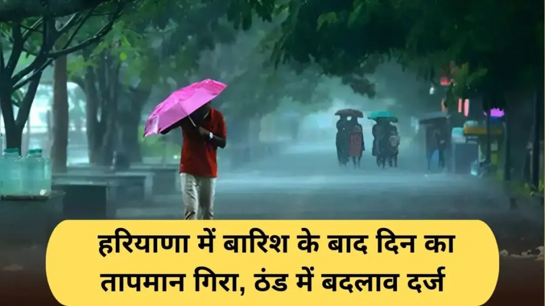 Haryana Weather Update: Day temperature drops after rain in Haryana, cold changes recorded