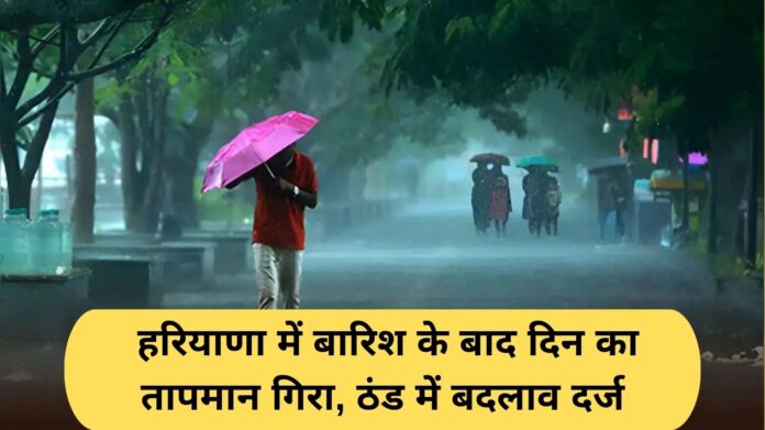 Haryana Weather Update: Day temperature drops after rain in Haryana, cold changes recorded