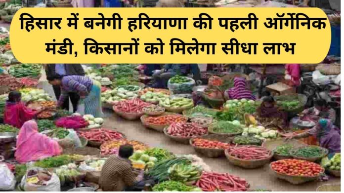 Haryana organic mandi: Haryana's first organic market will be built in Hisar, farmers will get direct benefit
