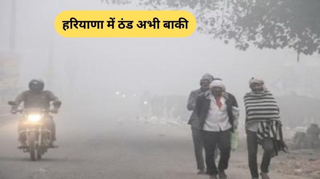 Haryana Weather ठंड अभी बाकी, मौसम विभाग ने जारी किया येलो अलर्ट