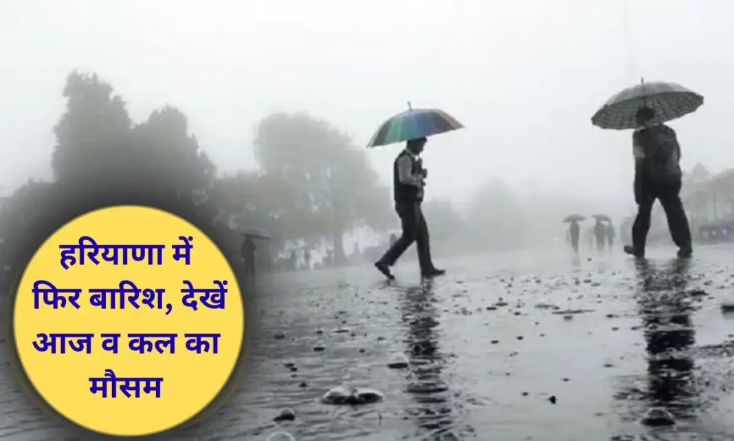 kal ka mausam weather haryana February 17, light rain in 12 districts kal ka mausam weather haryana February 17, light rain in 12 districts