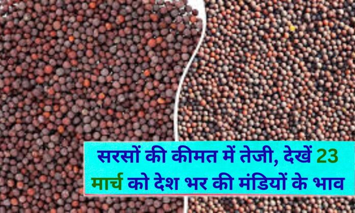 23 march 2026 Mustard price today sarson ka bhav