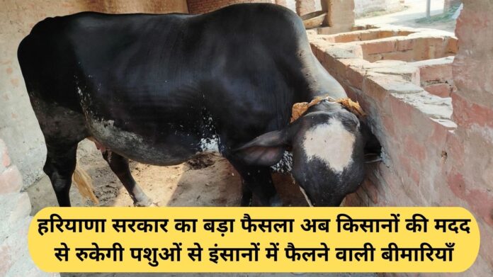 Haryana Animal Husbandry Schemes: Haryana government's big decision: Now, with the help of farmers, diseases spreading from animals to humans will be stopped.