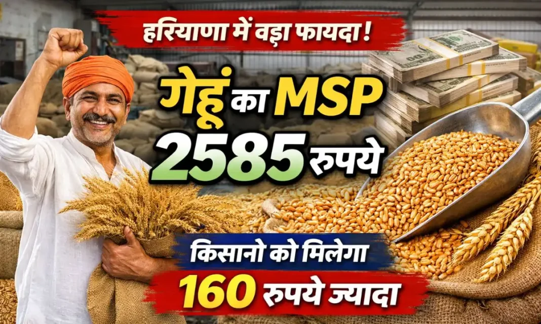 Haryana Rabi Season 2026 Wheat MSP in Haryana fixed at Rs 2585