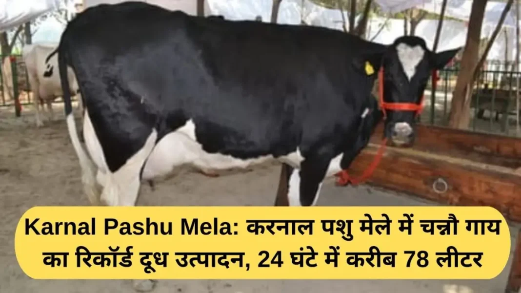 Karnal Pashu Mela Karnal Pashu Mela: Channo cow produces record milk at Karnal cattle fair, about 78 litres in 24 hours