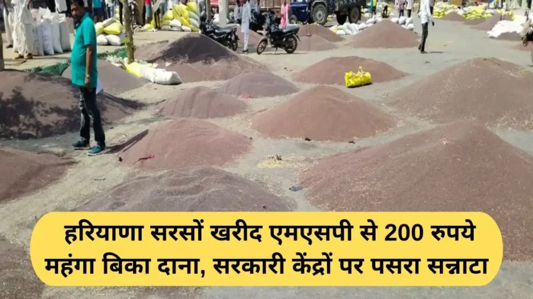 Mustard MSP Haryana Mustard MSP Haryana: Mustard seeds sold for Rs 200 more than the MSP in Haryana, government centres remained deserted.