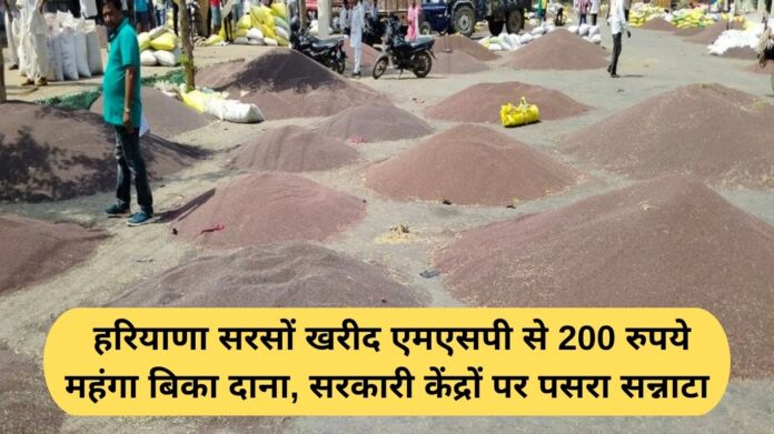 Mustard MSP Haryana: Mustard seeds sold for Rs 200 more than the MSP in Haryana, government centres remained deserted.