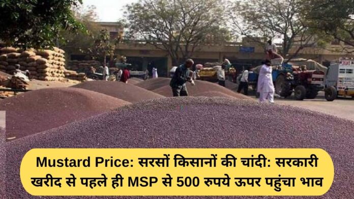 Mustard Price: Mustard farmers are happy: Even before government procurement, the price has reached Rs 500 above the MSP.