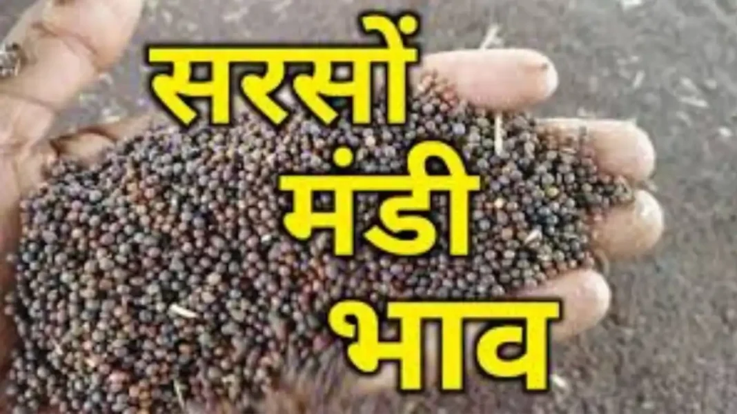Mustard Price Haryana: Mustard is being sold up to Rs 800 above MSP, private buyers are making money