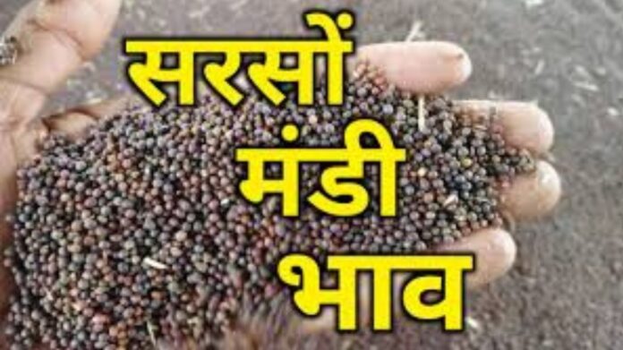 Mustard Price Haryana: Mustard is being sold up to Rs 800 above MSP, private buyers are making money