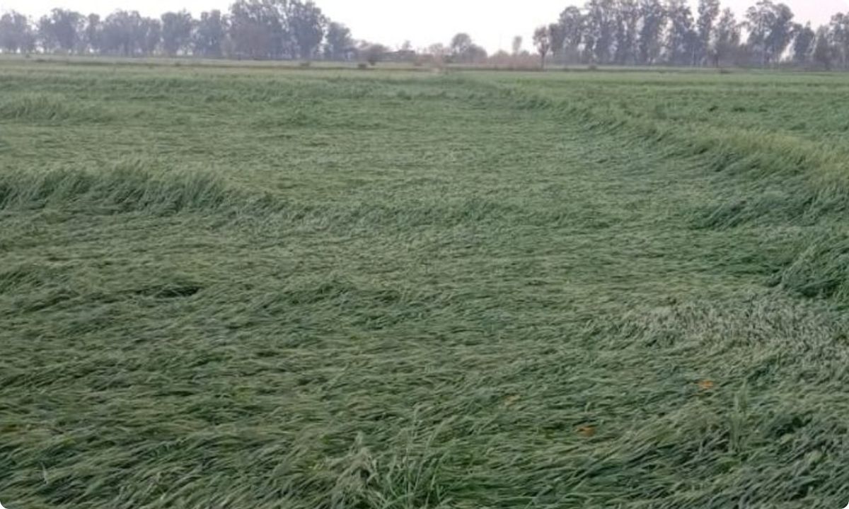 kal ka mausam Haryana weather update rain alert