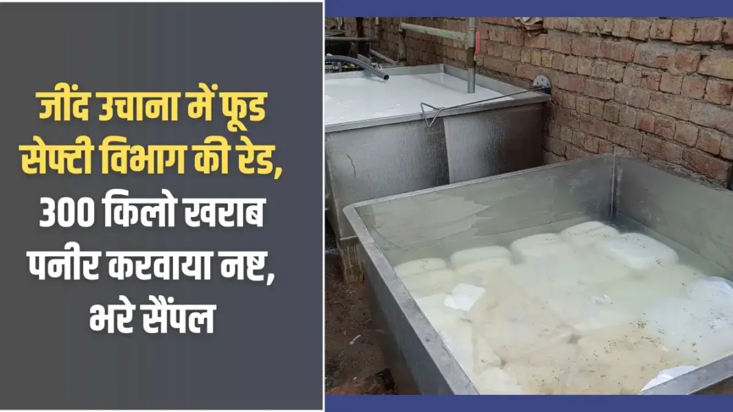 Jind raid: Food Safety Department raids Jind Uchana, destroys 300 kg of spoiled cheese, collects samples
