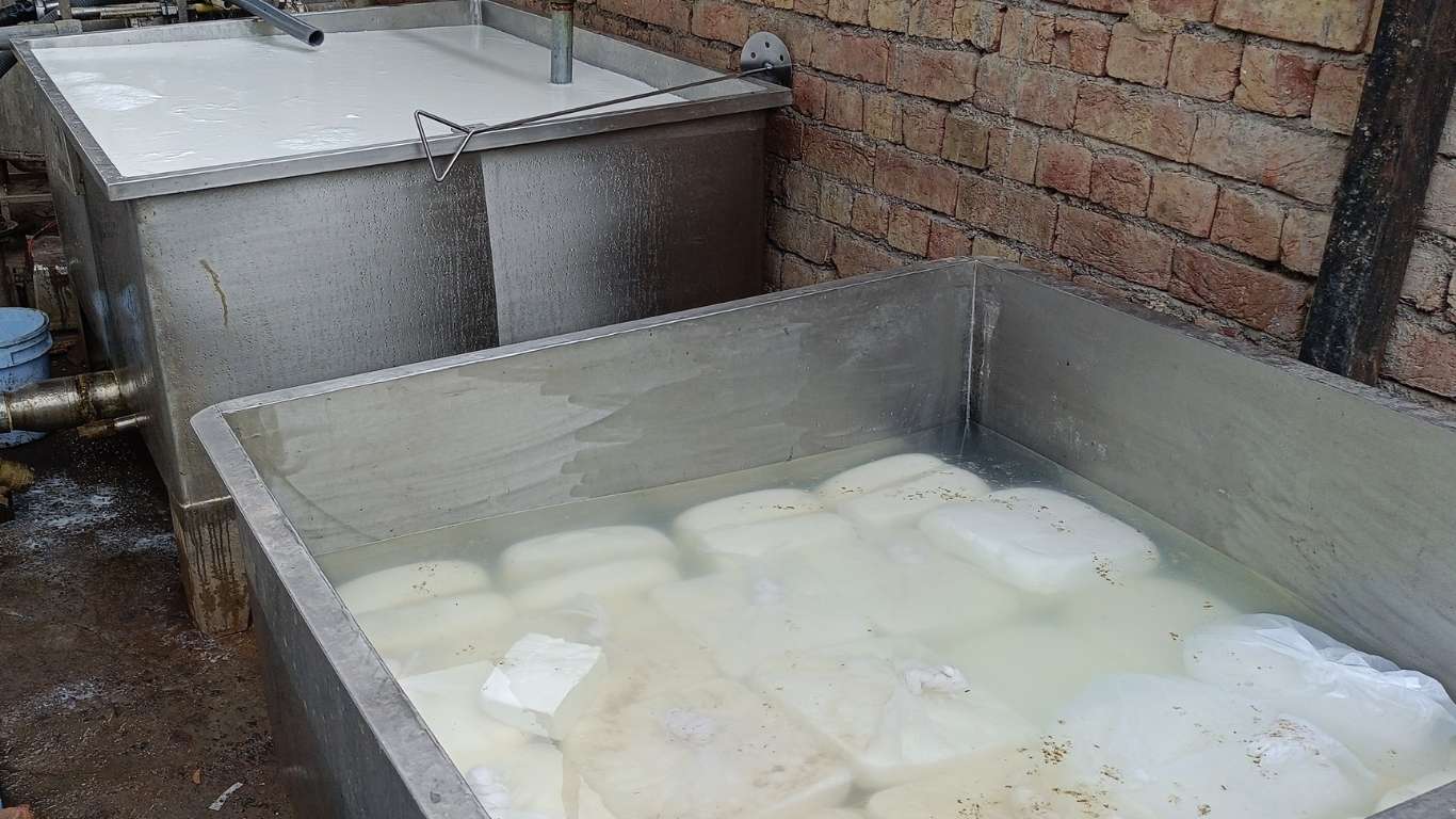 Jind raid: Food Safety Department raids Jind Uchana, destroys 300 kg of spoiled cheese, collects samples