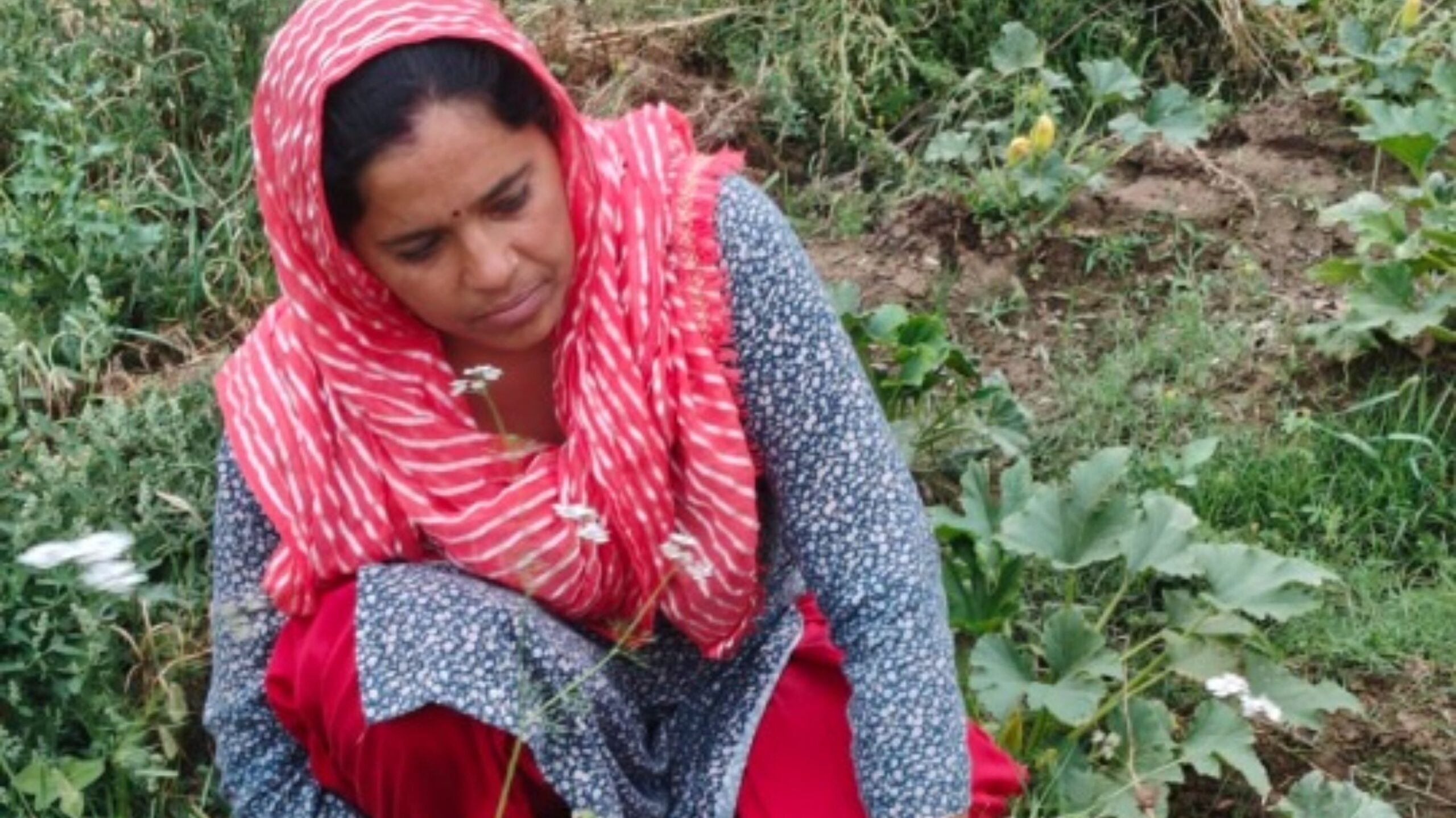 Success Story: Neelam made a name for herself through cow rearing and natural farming, her income also increased.