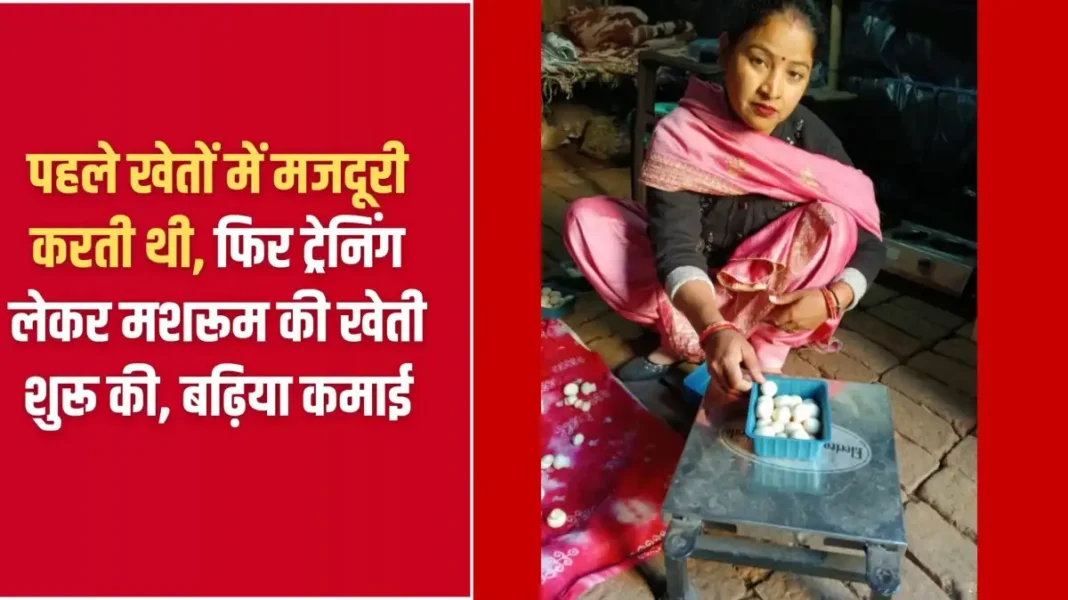 Success Story: Earlier she used to work as a labourer in the fields, then after taking training she started mushroom farming, earning good income