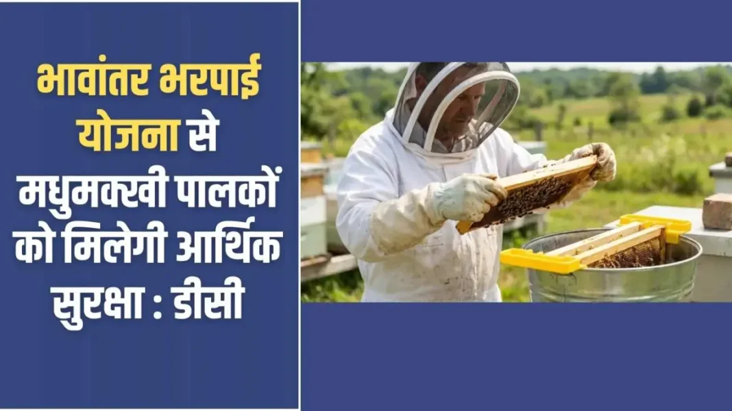 Jind Beekeepers Security: Beekeepers will get financial security through Bhavantar Bharpai Yojana: DC