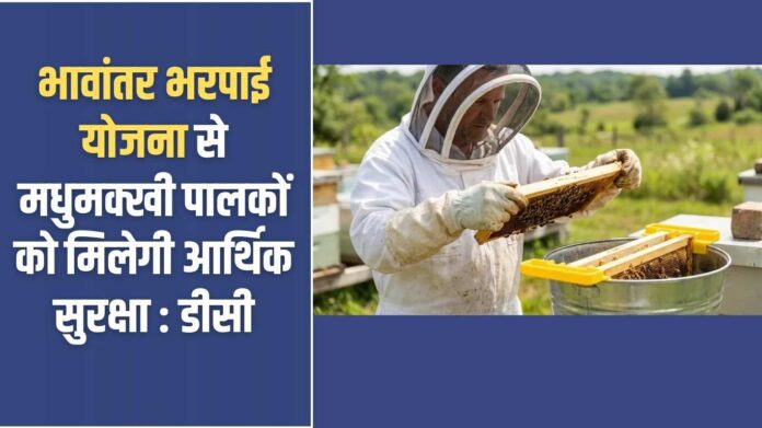 Jind Beekeepers Security: Beekeepers will get financial security through Bhavantar Bharpai Yojana: DC
