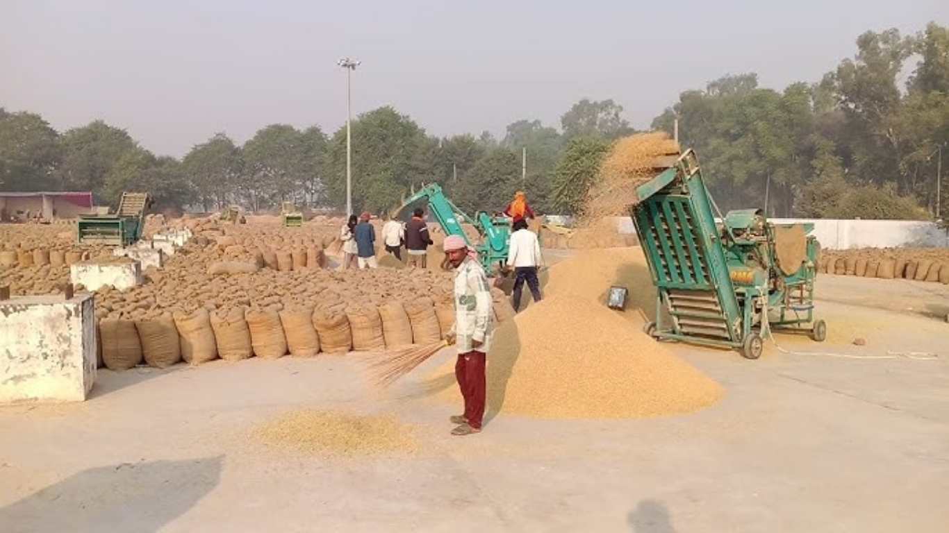 Wheat Procurement: Farmers' biometrics will be done inside the market, not at the gate; three members of a farmer's family will be authorized for biometrics.