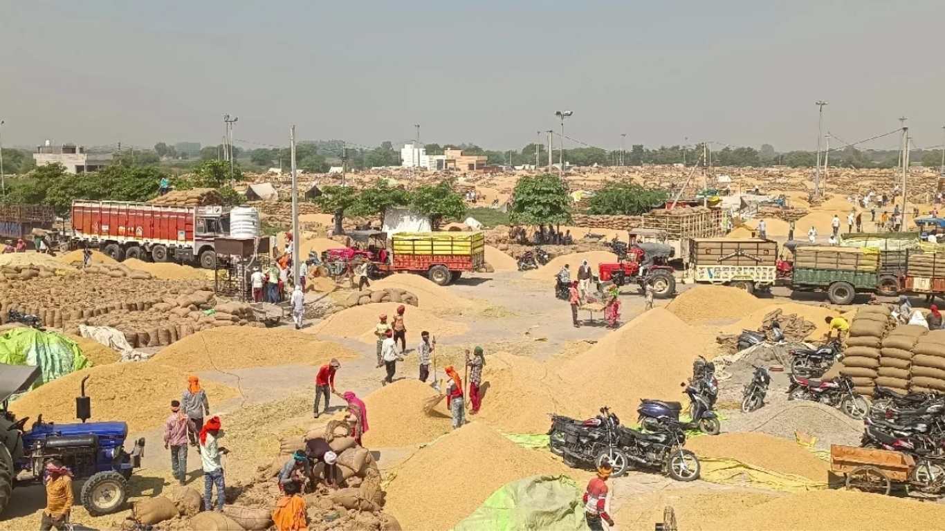 Wheat Procurement: Farmers' biometrics will be done inside the market, not at the gate; three members of a farmer's family will be authorized for biometrics.