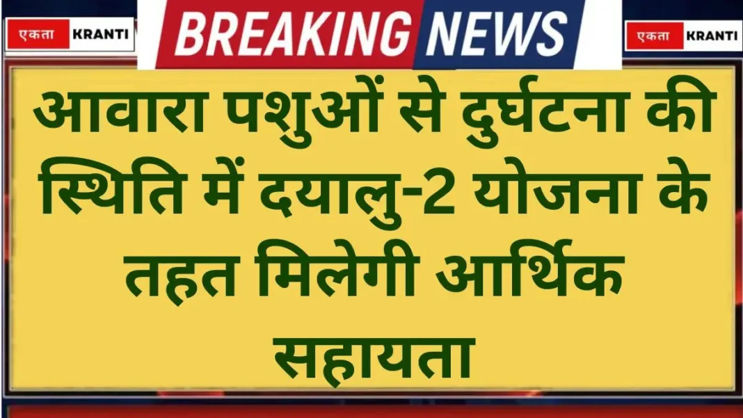DAYALU Scheme Financial assistance to be provided under the DAYALU-2 Scheme DAYALU Scheme Financial assistance to be provided under the DAYALU-2 Scheme