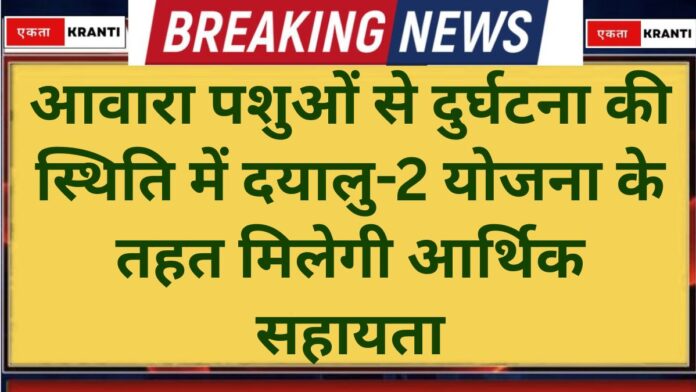 DAYALU Scheme Financial assistance to be provided under the DAYALU-2 Scheme