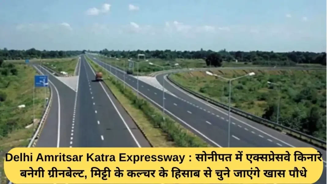 Delhi - Amritsar Katra Expressway Delhi Amritsar Katra Expressway: A greenbelt will be built along the expressway in Sonipat, with specific plants selected based on the soil culture.